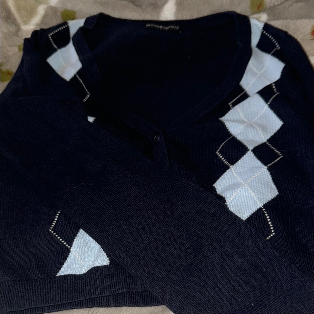 Brandy Melville Blue V-Neck Sweater